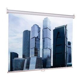  Проекц. экран Lumien Eco Picture LEP-100103 настенный с механизмом возврата / 200x200 см 