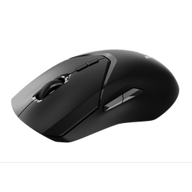  Мышь RAPOO VT9Pro Wired/Wireless Gaming Mouse Black 