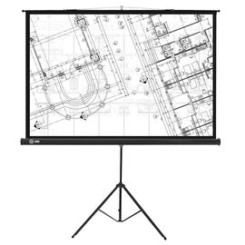  Экран Cactus 127x127см Triscreen CS-PST-127X127 1:1 напольный рулонный черный 