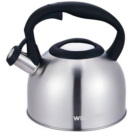  Чайник WILLMARK WTK-3229SS Матовый 