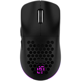  Мышь OKLICK 900GMW черный 