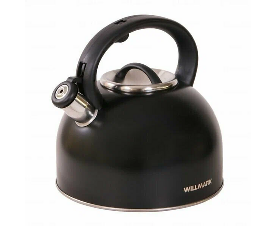 Чайник WILLMARK WTK-4810SS черный 