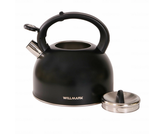  Чайник WILLMARK WTK-4810SS черный 